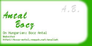 antal bocz business card